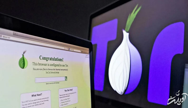 dark-web-and-its-impact-in-online-anonymity-and-privacy-a-critical-analysis-and-review / چگونه وارد دارک وب شویم